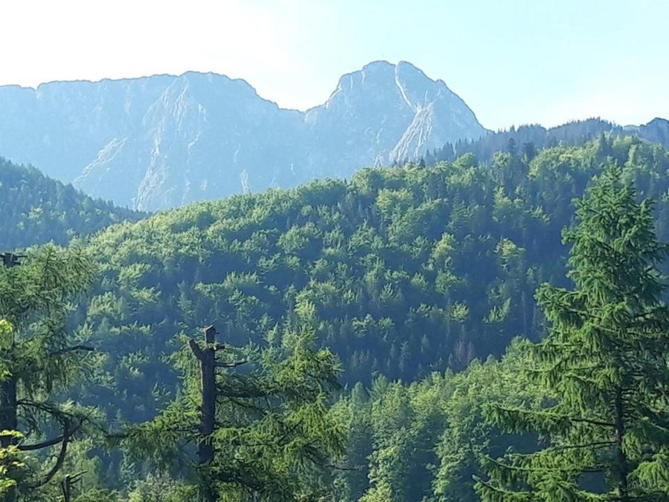 Prywatne-romanowka Homestay Zakopane