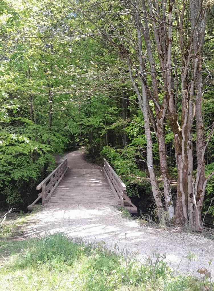 Homestay Prywatne-romanowka Zakopane