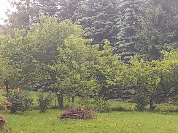 Prywatne-romanowka Homestay