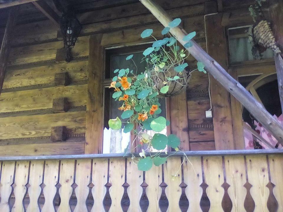 Homestay Prywatne-romanowka